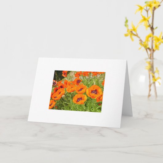 Carte Pavots (Fleur jaune)