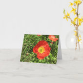 Carte Pavots parfaits (Fleur jaune)