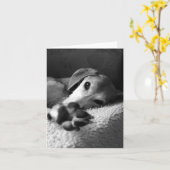 Carte Paw Sammy (Fleur jaune)