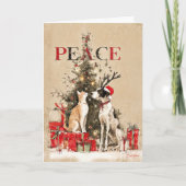 Carte Paws of Peace  (Devant)