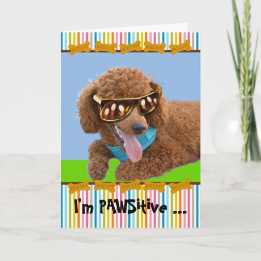 Carte Pawsitive Birthday Red Pooda in Shades (Devant)
