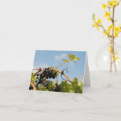 Carte Pays de vin (Fleur jaune)