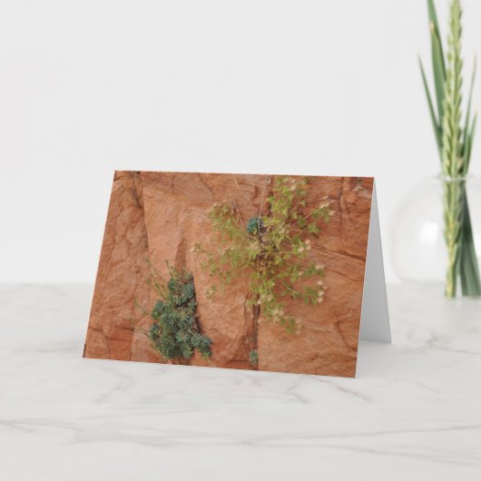 Carte Paysage (Devant)