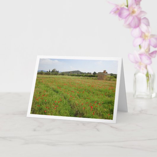 Carte Paysage Agritouristique Poppy Field (Orchidée)
