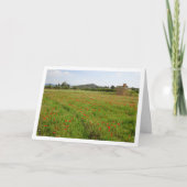 Carte Paysage Agritouristique Poppy Field (Devant)