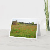 Carte Paysage Agritouristique Poppy Field (Devant)