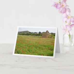 Carte Paysage Agritouristique Poppy Field