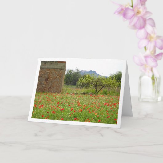 Carte Paysage Agritouristique Poppy Field (Orchidée)
