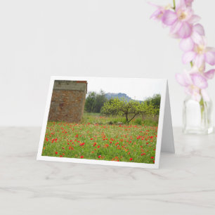 Carte Paysage Agritouristique Poppy Field