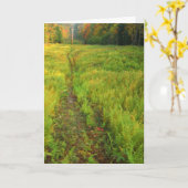 Carte Paysage d'automne de Fern (Fleur jaune)