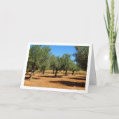 Carte Paysage de la Grotte d'Olivier (Devant)