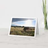 Carte Paysage de lever de soleil à la campagne (Devant)