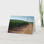 Carte Paysage de Valencia Orange Grove (Devant)