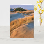 Carte Paysage Des Dunes De Sable De L'Oregon (Fleur jaune)
