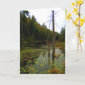 Carte Paysage des marécages d'arbres (Fleur jaune)