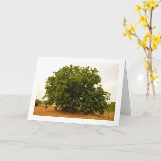 Carte Paysage des noix (Fleur jaune)