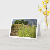 Carte Paysage du canyon (Fleur jaune)