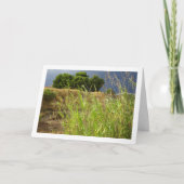 Carte Paysage du canyon (Devant)