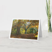 Carte Paysage forestier de campagne anglaise (Devant)