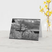 Carte Paysage noir et blanc d'arbre (Fleur jaune)
