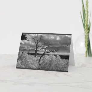 Carte Paysage noir et blanc d'arbre