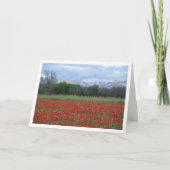 Carte Paysage Poppy Field Mountain (Devant)