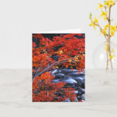 Carte Paysage rouge/bleu (Fleur jaune)
