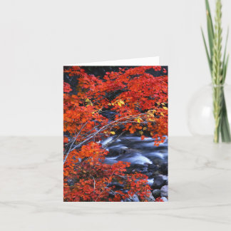 Carte Paysage rouge/bleu