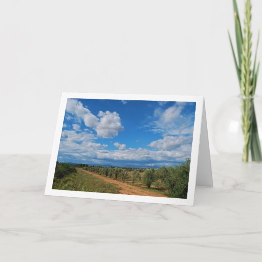 Carte Paysage Sky de Orchard Path (Devant)