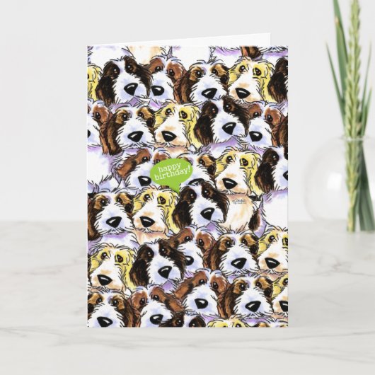 Carte PBGV Chiens drôle Anniversaire (Devant)