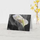 Carte Peace Lily Photo "Joyeux anniversaire !" (Fleur jaune)