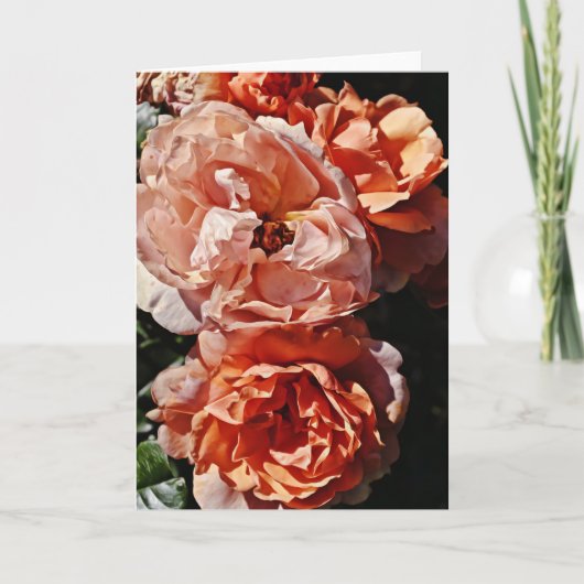 Carte Peach Apricot Roses Portrait Art Note (Devant)