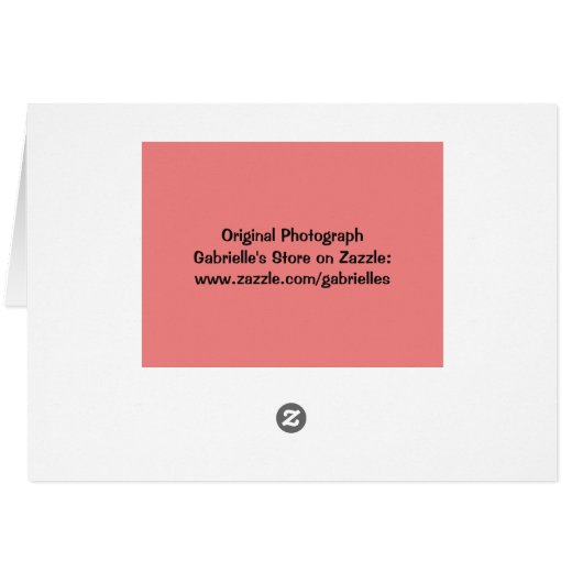 Carte Peachy Rose Blank Note (Dos Horizontal)