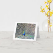 Carte Peacock (Fleur jaune)