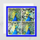 Carte Peacock Art (Devant / Derrière)