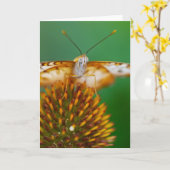 Carte Peacock blanc (Fleur jaune)