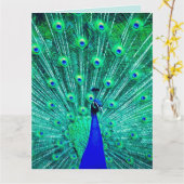 CARTE PEACOCK FUNNY BANTHDAY GREETING CARD (Fleur jaune)