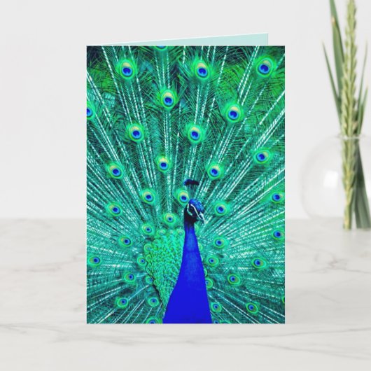 CARTE PEACOCK FUNNY BANTHDAY GREETING CARD (Devant)
