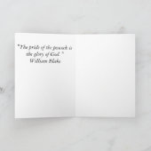 Carte Peacock le matin (Intérieur)