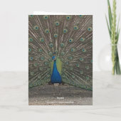 CARTE PEACOCK PHOTO ANNIVERSARY GREETING CARD (Dos)