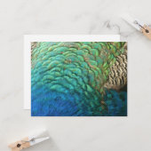 Carte Peacock Plumes I Colorful Abstrait Nature Design (Devant/Arrière en situation)