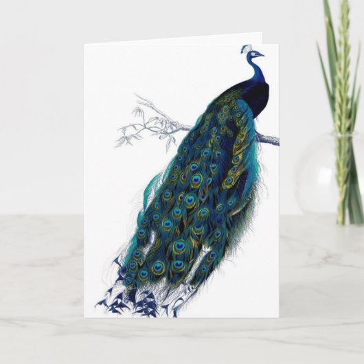 Carte Peacock vintage (Devant)