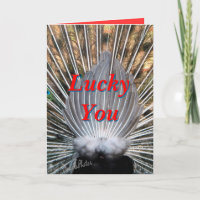 Peacockbutt card2-customize toute occasion