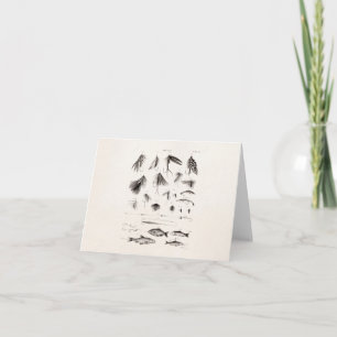 Carte Pêche vintage 1800 Pêche à la ligne Mouches vieill