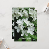 Carte Pee Gee Hydrangea Fleurs blanches vierges plates (Devant/Arrière en situation)