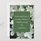 Carte Pee Gee Hydrangea Fleurs blanches vierges plates (Dos)