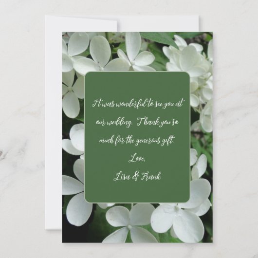 Carte Pee Gee Hydrangea Fleurs blanches vierges plates (Dos)