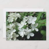 Carte Pee Gee Hydrangea Fleurs Monogrammes Nota Vierge (Devant)