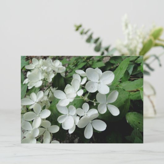 Carte Pee Gee Hydrangea Fleurs Monogrammes Nota Vierge (Debout devant)