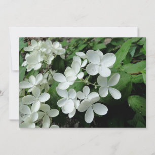 Carte Pee Gee Hydrangea Fleurs Monogrammes Nota Vierge